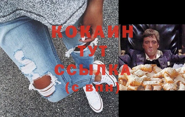 трава Дубна