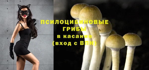 мяу мяу мука Пролетарск