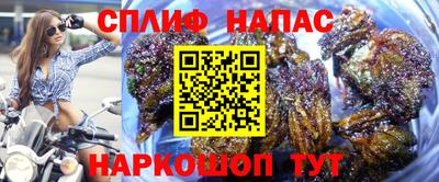 спайс Беслан