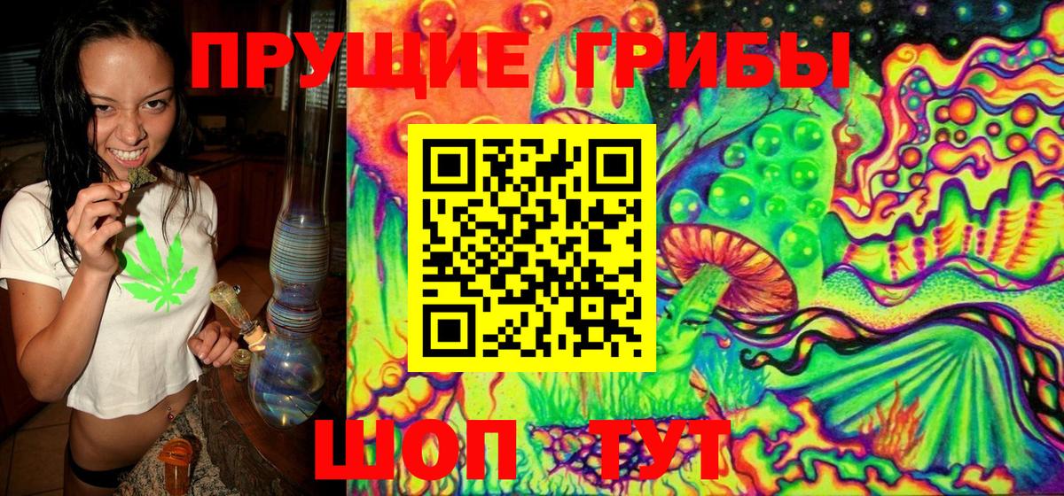 Галлюциногенные грибы Лосино-Петровский