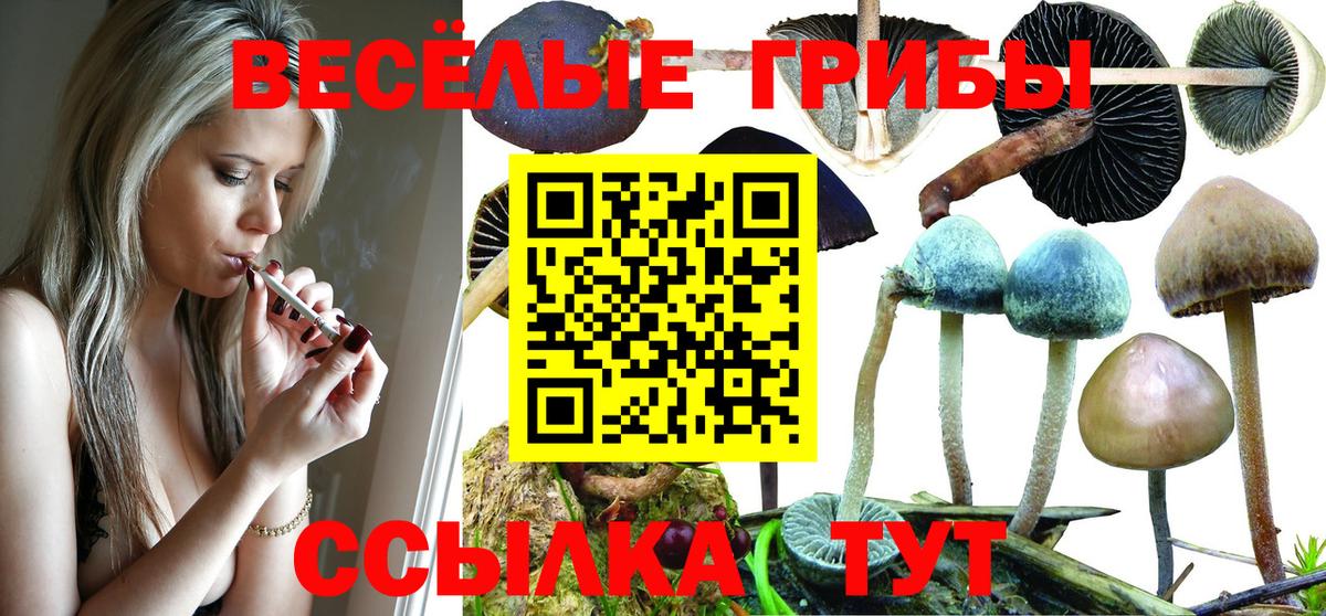 Галлюциногенные грибы Magic Shrooms Лосино-Петровский