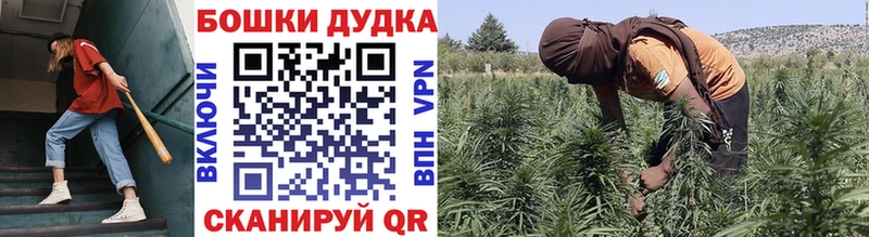МАРИХУАНА Bruce Banner Лосино-Петровский