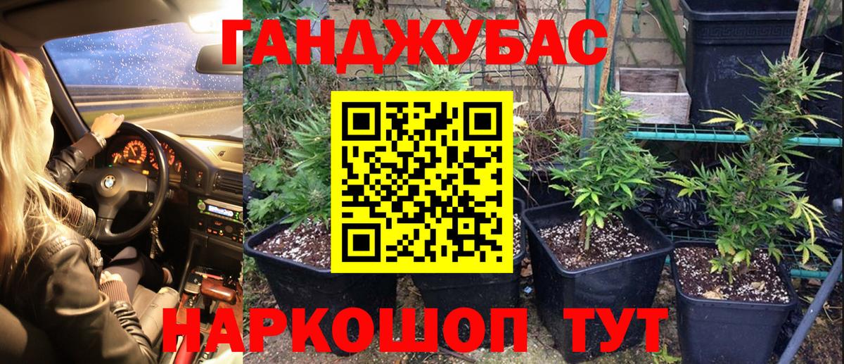 Бошки Шишки конопля Лосино-Петровский